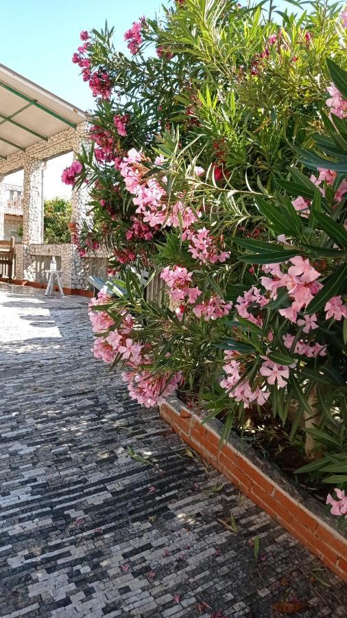 Vakantiehuis Casa Delle Arance