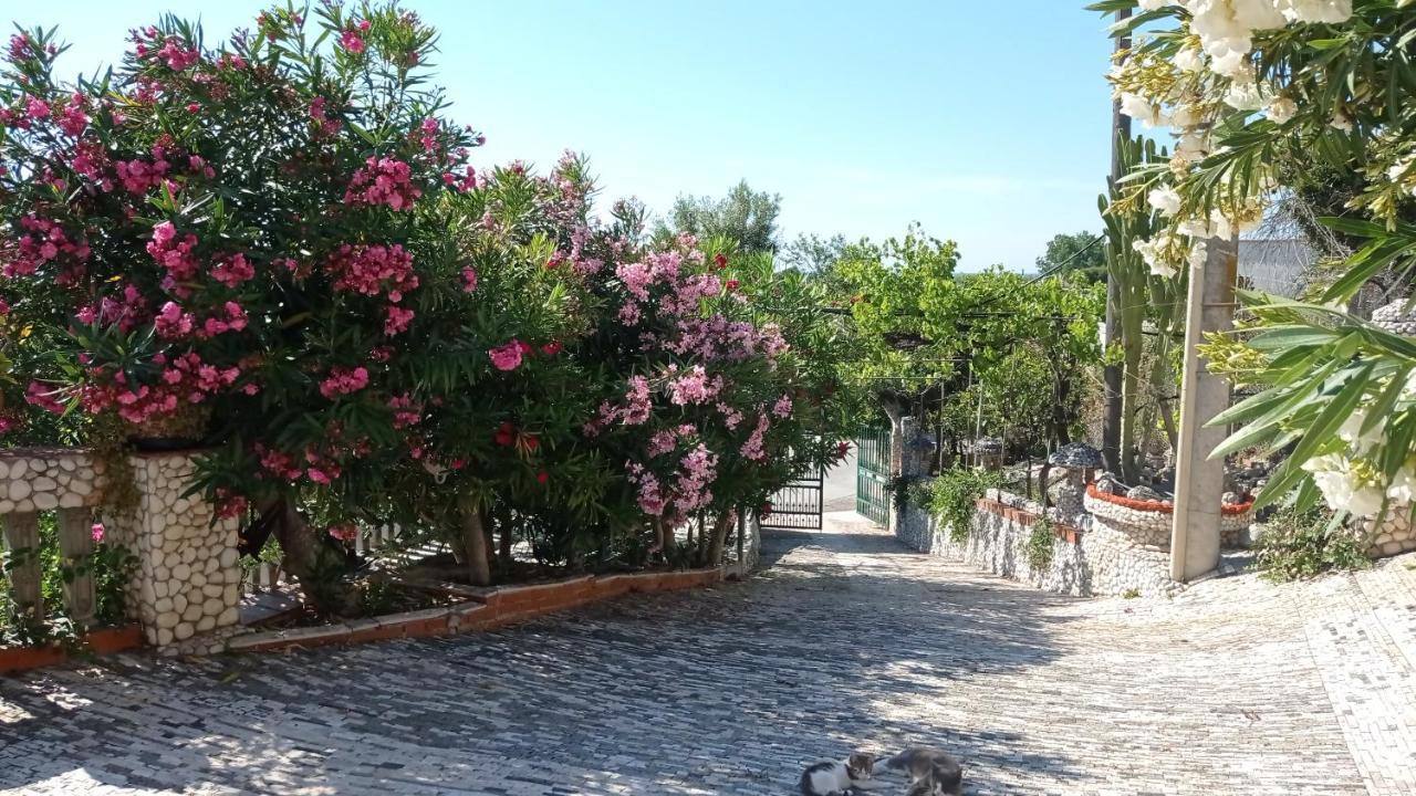 Casa Delle Arance