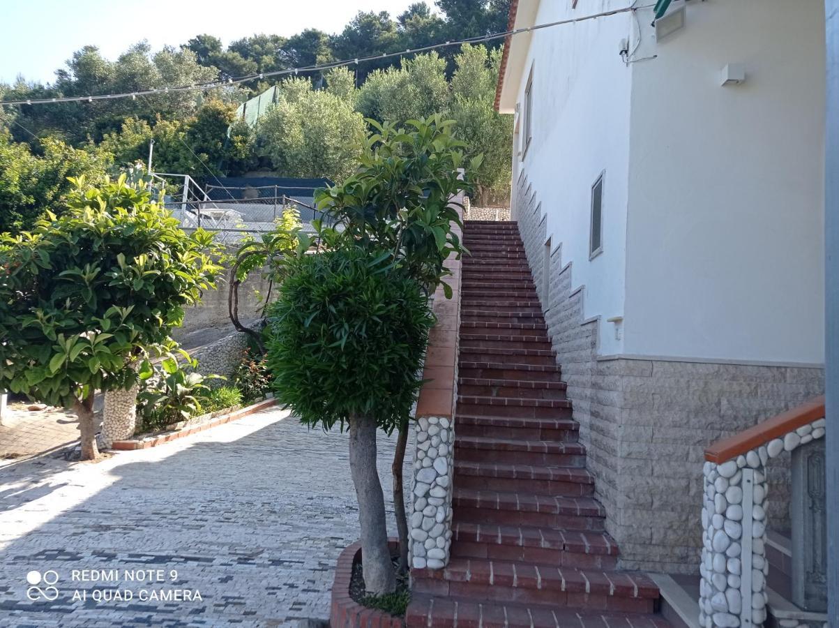 Vakantiehuis Casa Delle Arance *