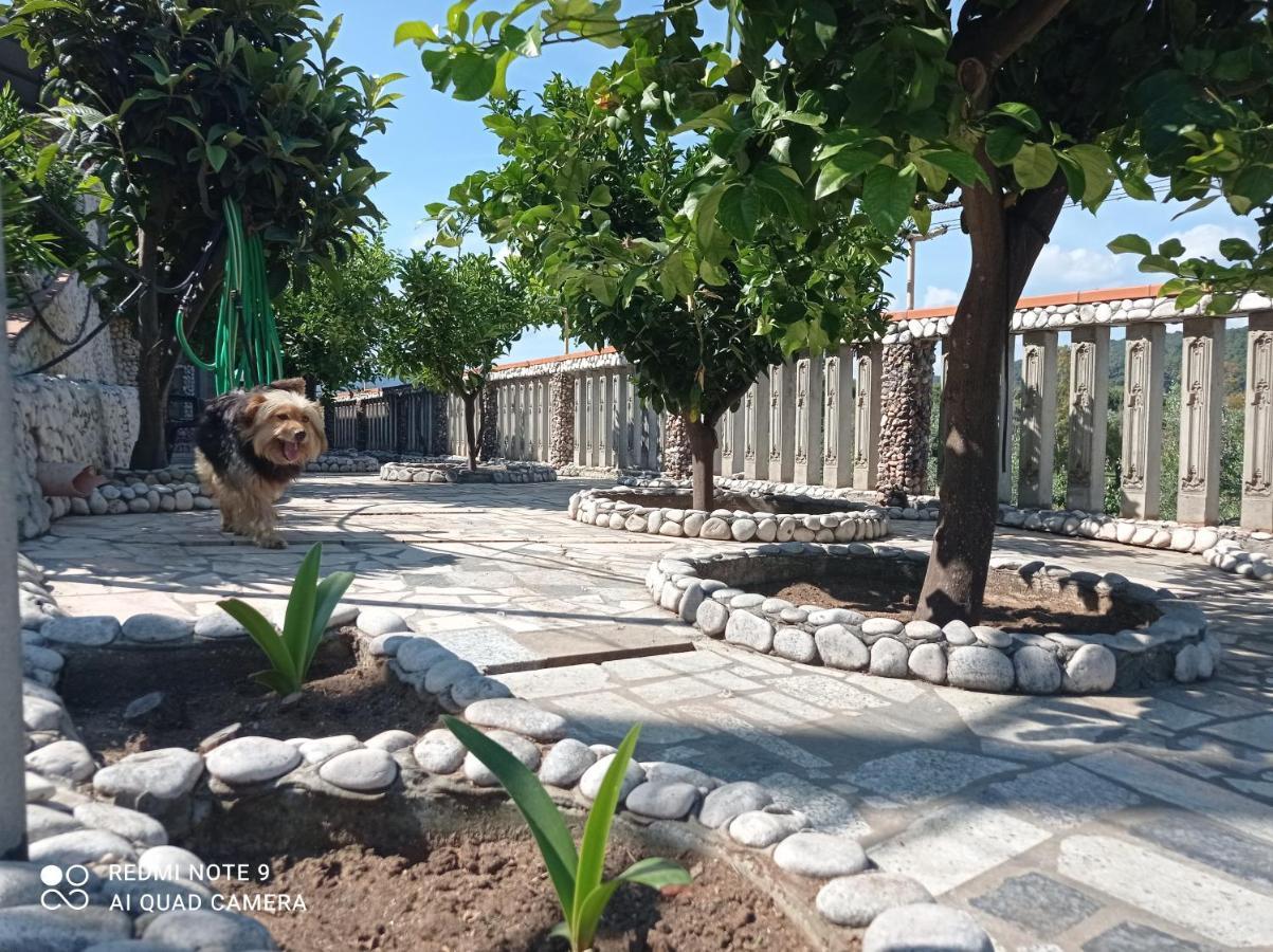 Casa Delle Arance Peschici