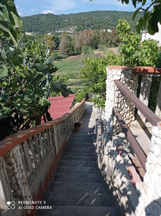 Casa Delle Arance Peschici