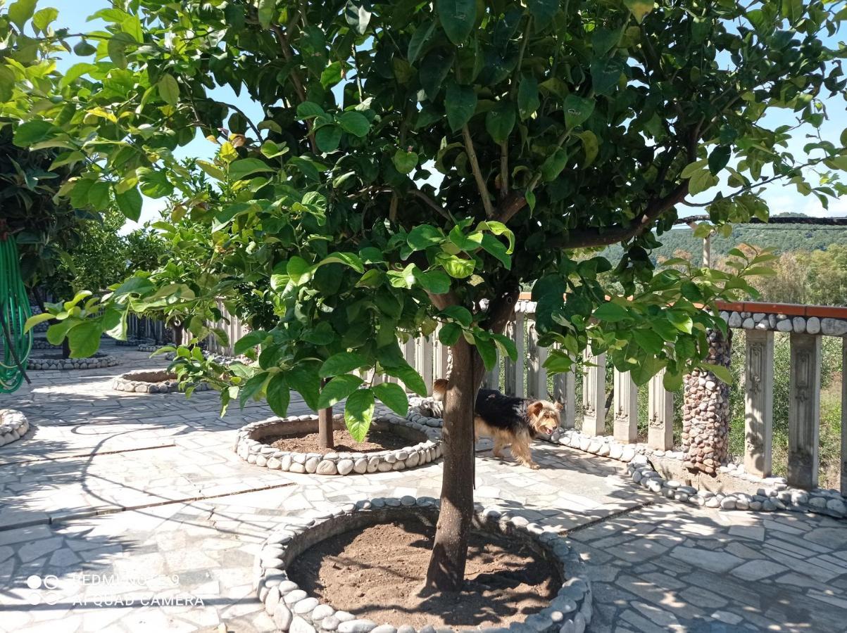 Casa Delle Arance Holiday home Peschici